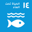 SDG 14